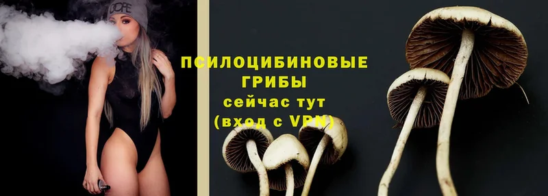 Галлюциногенные грибы Magic Shrooms  Севастополь 